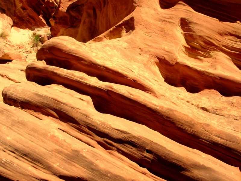 04160302LittleWildHorse (1028)